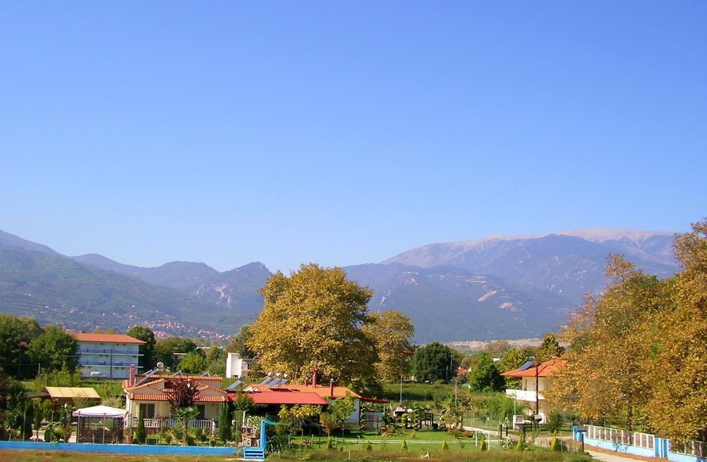 Apartments Ziogas Paralía Skotínis 客房 照片